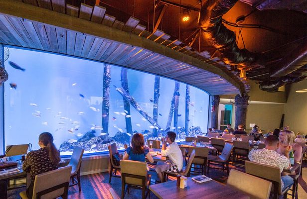 Cairns aquarium and small group city sightseeing tour