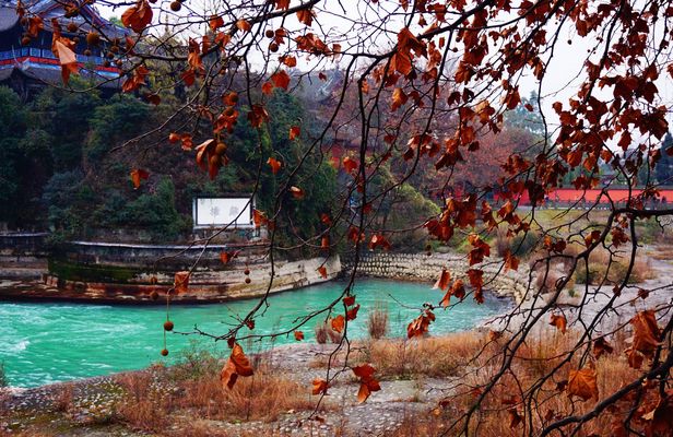Full day private tour Taoist mountain and Dujiangyan irrigation