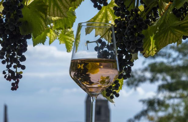 Private Etyek wine tour and dinner with Danube River evening cruise