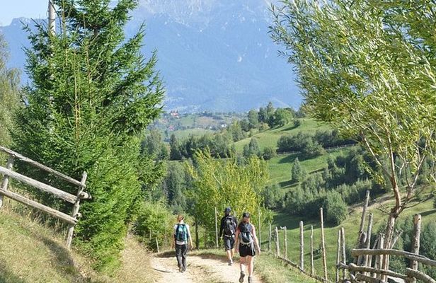 Piatra Craiului National Park private hiking tour from Brasov