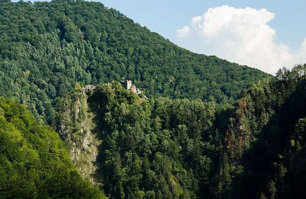 Small-Group day trip on the Transfagarasan road and to Poienari Fortress from Brasov