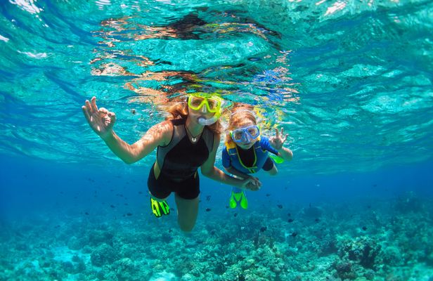 Palm Pleasure catamaran afternoon snorkeling tour