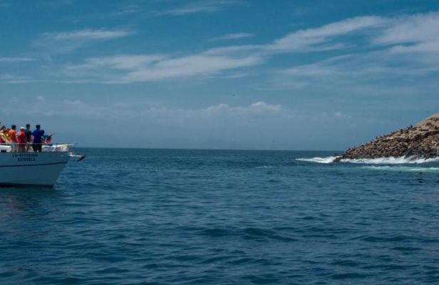 Palomino Islands Boat Tour