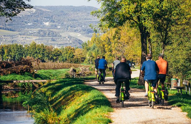 Amarone wine E-bike tour