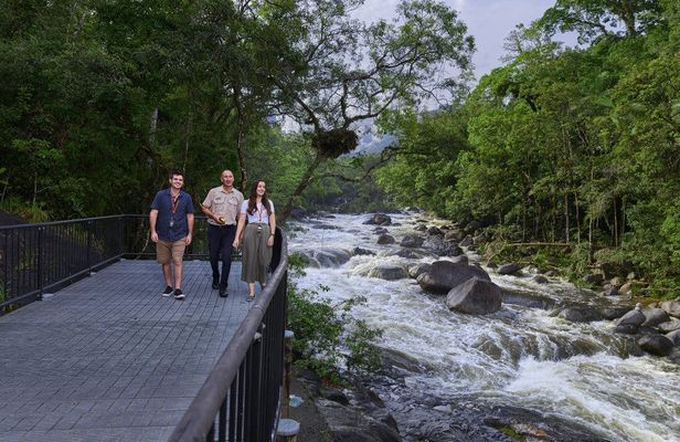Full-day Cape Tribulation, Daintree and Mossman Gorge with lunch