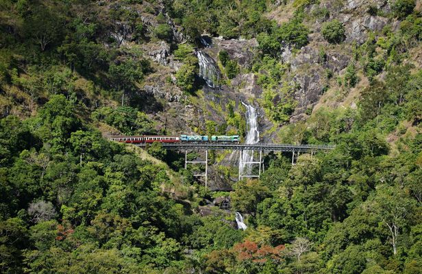 Kuranda Skyrail and Scenic Rail experience