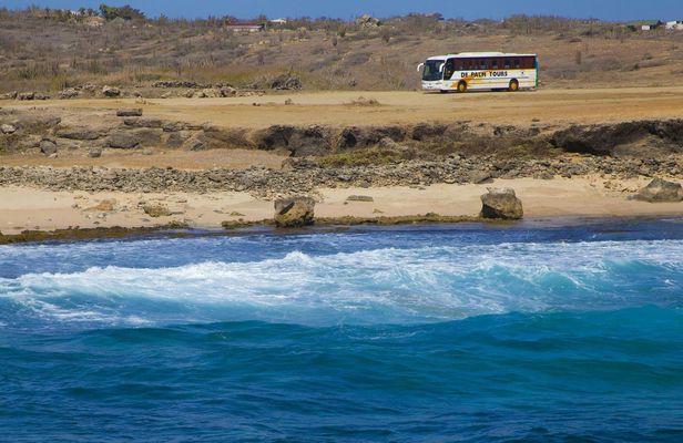 Best of Aruba full-day tour by bus