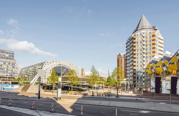 Rotterdam highlights private bike tour