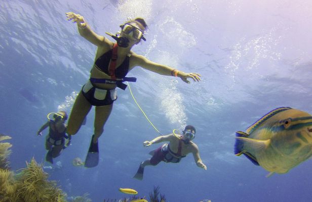De Palm Island Snuba experience