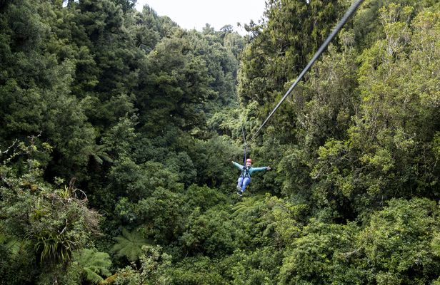 The original canopy experience