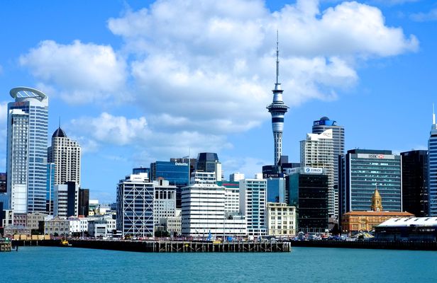 Auckland city highlights experience