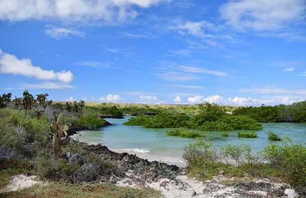Cerro Mesa Reserve and Garrapatero beach day trip