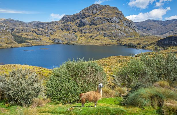 Cajas National Park hiking excursion