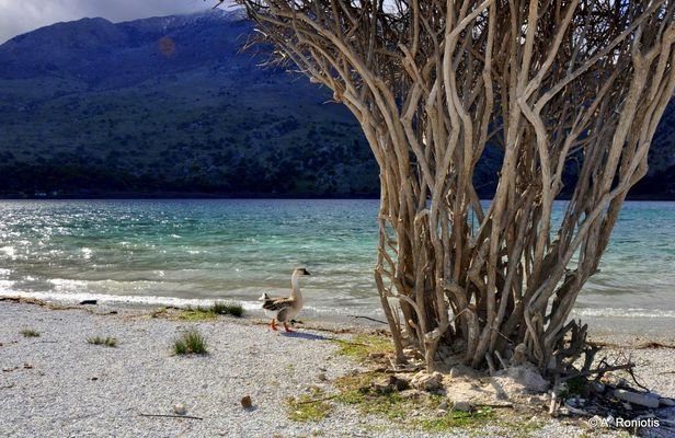 Tour of southern unspoiled Crete from Rethymno