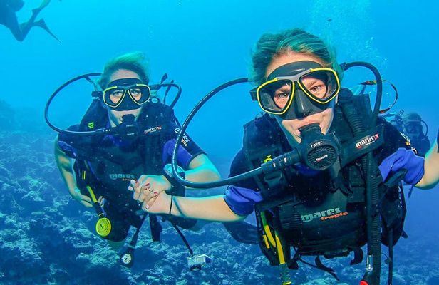 Scuba dive trip with transfer from Dubai