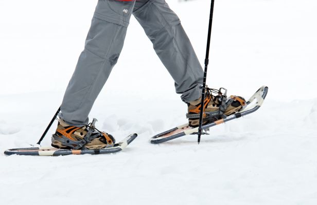 Private Tromsø snowshoeing tour with a TeslaX car ride