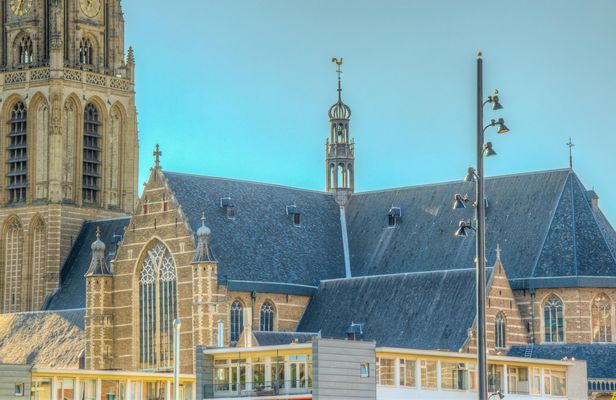 Rotterdam highlight private walking tour