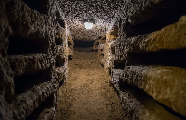 Catacombs entry ticket and guided tour with transfer
