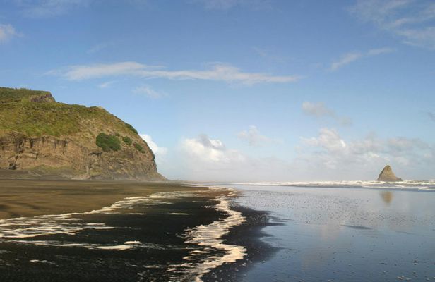 Auckland coast and rainforest walk day tour