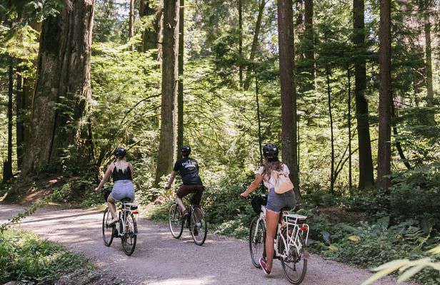 Vancouver epic electric cycling tour