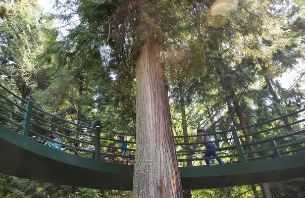Vancouver Grand cycling tour