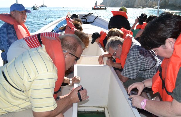 Los Cabos in One Day tour