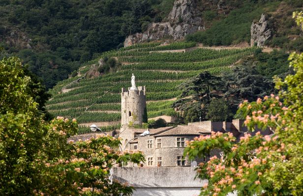 Full-day tour of the Northern Rhône Valley with tasting