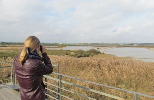 Lagoa dos Salgados half-day birdwatching tour
