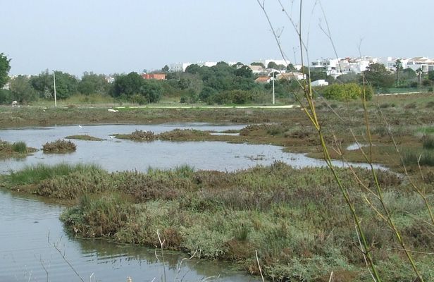Abicada lagoon half-day tour