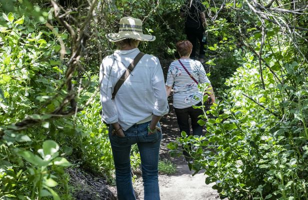 Garden Route 4-day tour from Port Elizabeth to Cape Town
