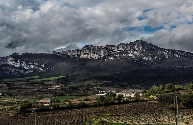 Winery visit in La Rioja with tasting and lunch from Vitoria
