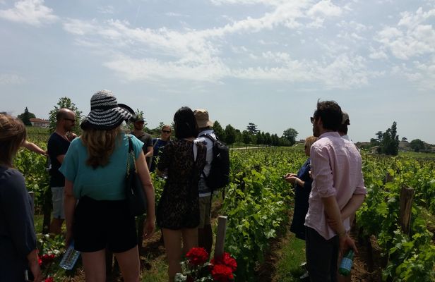 Half-day trip to Saint-Emilion wine estates from Bordeaux