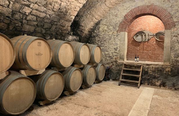 Valpolicella private tour with olive oil tasting