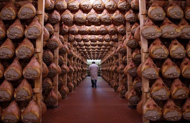 Parma food excellence private tour from Bologna