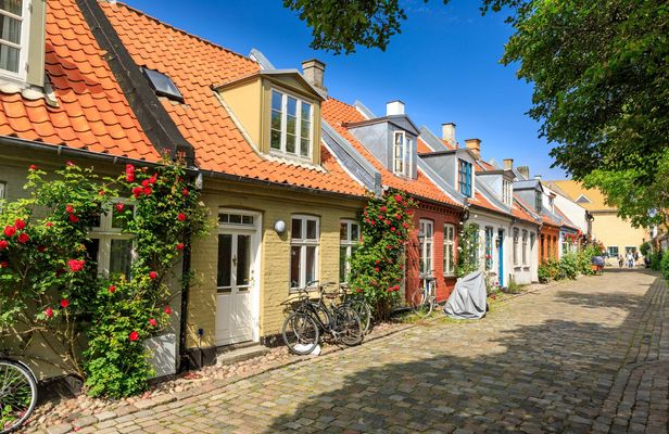 Introductory walking tour of Aarhus with a local