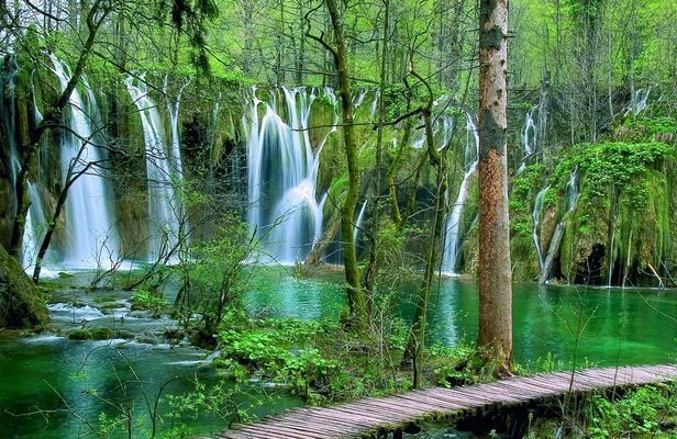Private day-tour to Plitvice National Park from Zadar