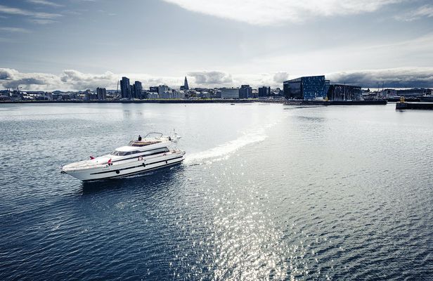Whale watching luxury yacht cruise in Reykjavik