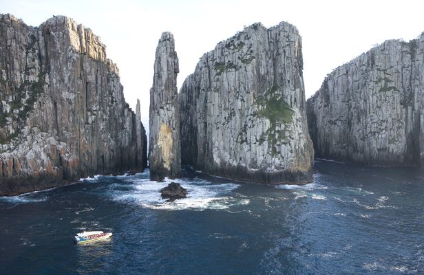 Tasman Island Cruises from Hobart with Port Arthur visit