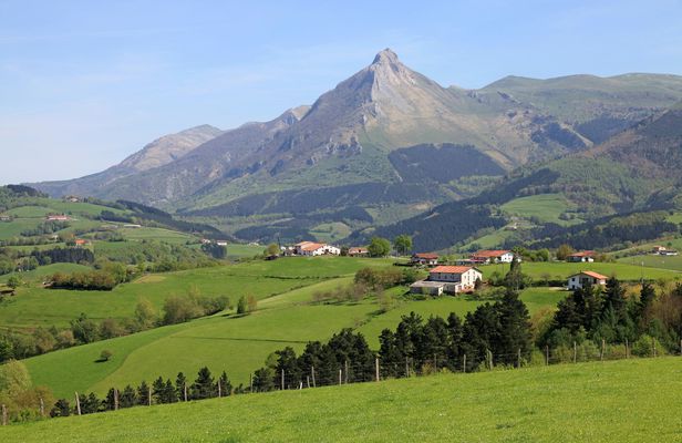 Idiazabal Basque cheese tour from San Sebastian