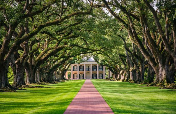 Oak Alley Plantation Tour