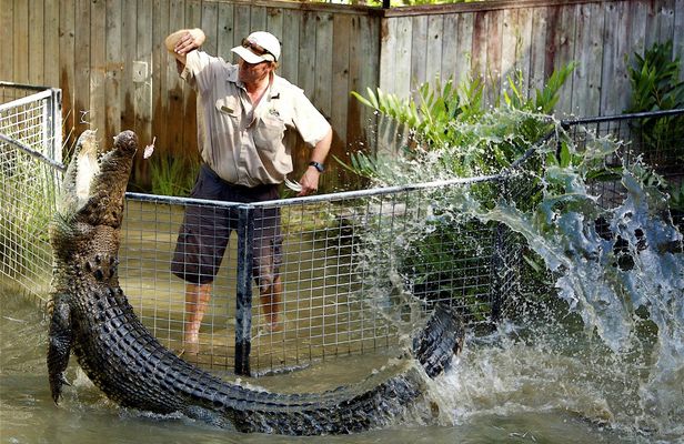 Half-day Hartley's crocodile adventures