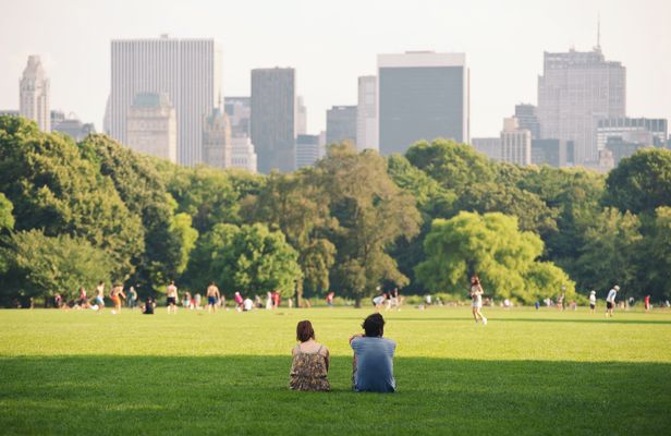 Semi-private Central Park walking tour