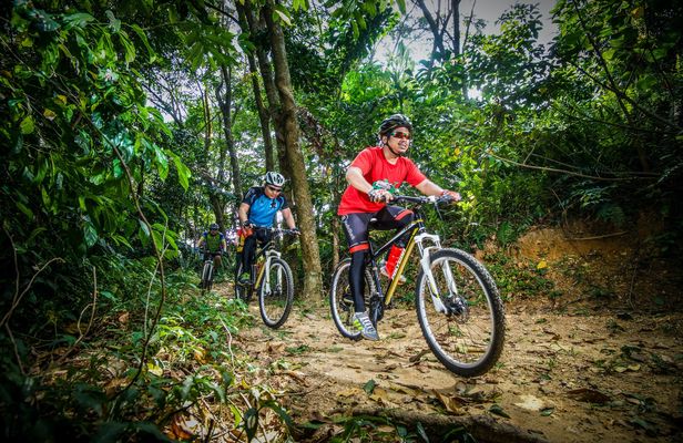 Private half-day National Botanical Garden bike tour