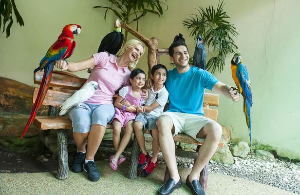 Kuala Lumpur Bird Park entrance tickets with hotel pick up