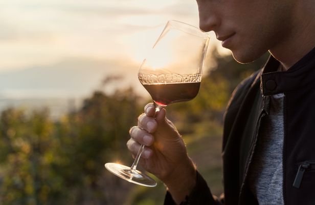 Itria Valley winery tour with tasting