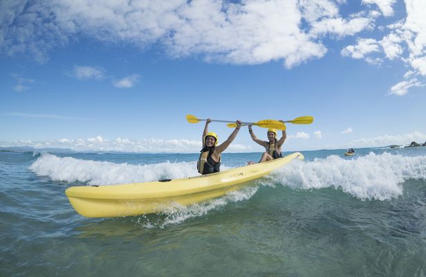 Kayak with the dolphins