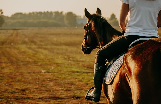 Horse riding private tour in Comporta natural reserve