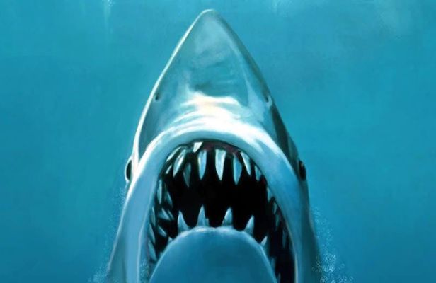 Martha's Vineyard Jaws movie private tour