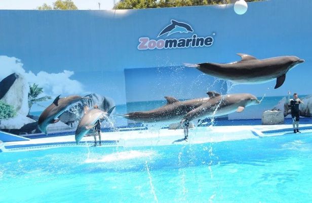 Zoomarine private trip from Lisbon with entrance tickets