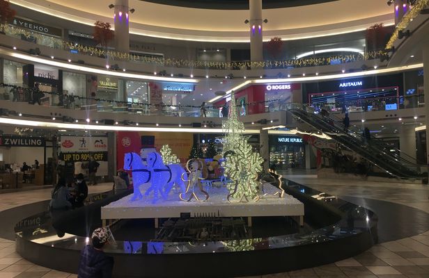 Private Vancouver branded shopping tour
